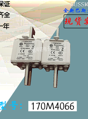 全新热卖供应170M4058巴斯曼熔断器170M4059现货直销170M4060