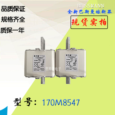 170M8539全新热卖供应巴斯曼熔断器170M8540库存现货直销170M8541