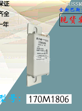 170M1808全新热卖供应巴斯曼熔断器170M1809电子保险丝170M1810