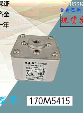 170M5417质保一年170M5418电子全新热卖巴斯曼熔断器保险丝直销