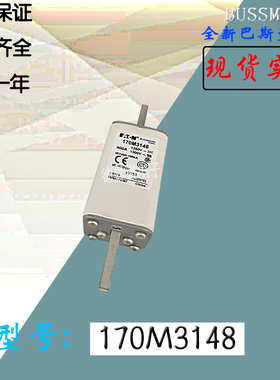 170M3071全新热卖电子保险丝巴斯曼熔断器170M3072直销170M3073