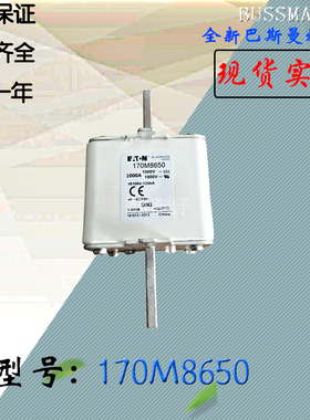 全新热卖供应170M8645巴斯曼熔断器170M8646库存现货直销170M8647