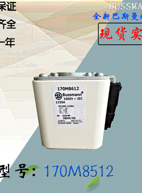 170M8511全新热卖供应巴斯曼熔断器170M8512电子保险丝170M8513