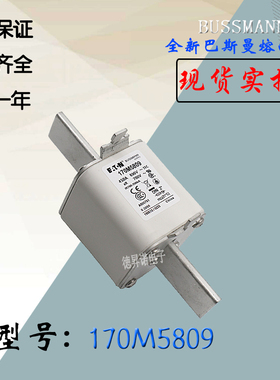 170M5804全新热卖巴斯曼熔断器保险丝170M5805现货直销170M5806