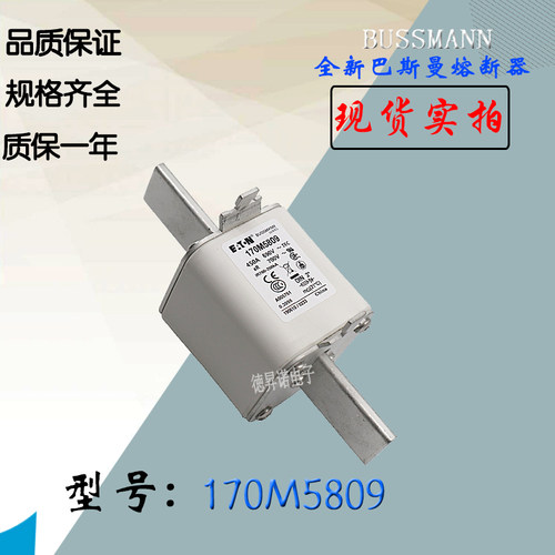BUSSMANN170M5804保险丝熔断器