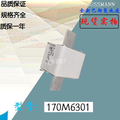 170M5315全新热卖供应巴斯曼熔断器170M5316库存现货直销170M6308