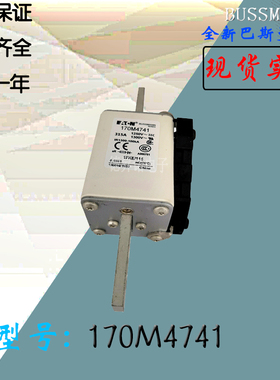 170M4743全新热卖供应巴斯曼熔断器170M4744电子保险丝170M4745