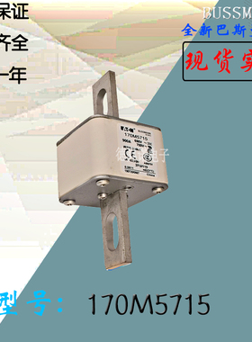170M5700全新热卖供应巴斯曼熔断器170M6688库存现货直销170M6689