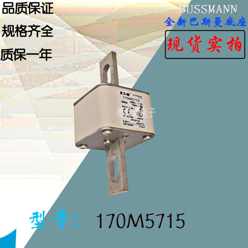 BUSSMANN170M5700保险丝熔断器