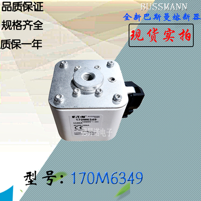 BUSSMANN170M6349保险丝熔断器