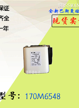 170M6541全新热卖供应巴斯曼熔断器170M6542电子保险丝170M6543