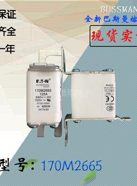 170M2667全新热卖供应巴斯曼熔断器170M2668现货直销170M2669