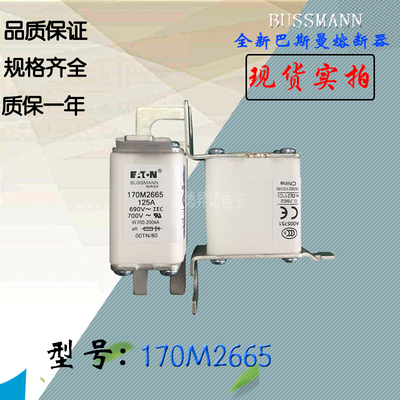 170M2661全新热卖供应巴斯曼熔断器170M2662电子保险丝170M2663