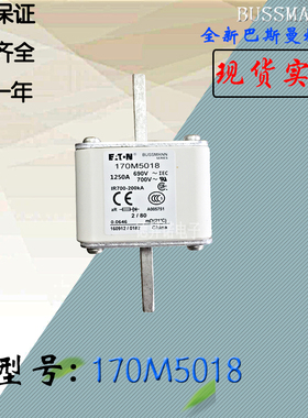 170M5067全新电子保险丝巴斯曼熔断器170M5068现货直销170M6058