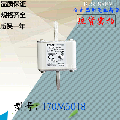170M5016全新热卖供应巴斯曼熔断器170M5017电子保险丝170M5018