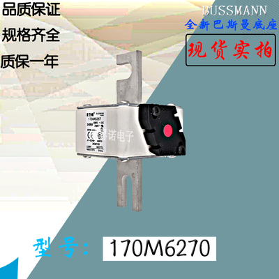 170M6220170M6221巴斯曼保险丝