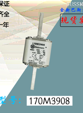 170M3974全新热卖供应巴斯曼熔断器170M3975库存现货直销170M4965