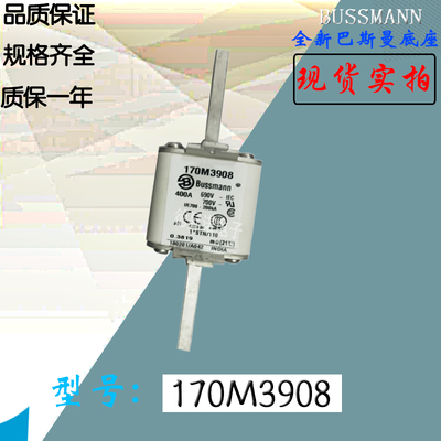 170M3974全新热卖供应巴斯曼熔断器170M3975库存现货直销170M4965