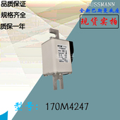 170M4246全新热卖 供应巴斯曼熔断器170M4247库存现货直销170M5238