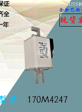170M4246全新热卖供应巴斯曼熔断器170M4247库存现货直销170M5238
