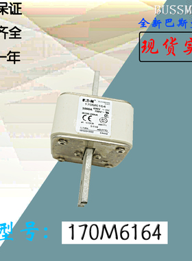 170M6189全新热卖供应巴斯曼熔断器170M6190库存现货直销170M6191