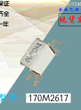 170M2617全新热卖供应巴斯曼熔断器170M2618库存现货直销170M2619