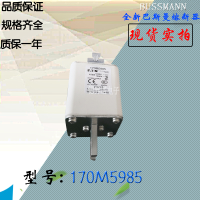170M5982全新热卖供应巴斯曼熔断器170M5983电子保险丝170M5984