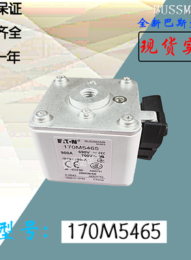 170M5446全新热卖供应巴斯曼熔断器170M5447库存现货直销170M5448