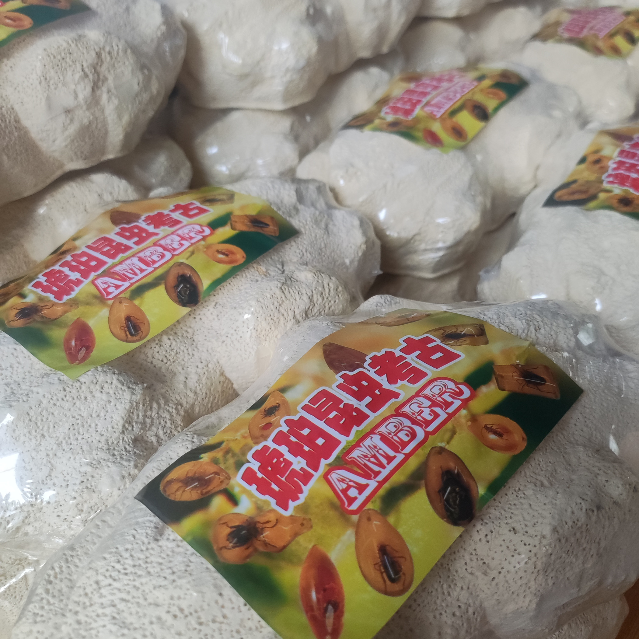 新款考古挖掘化石琥珀昆虫标本盲盒男女孩手工寻宝石宝藏儿童玩具