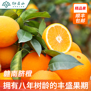 御道山 果园直发【精品果】赣南现摘新鲜脐橙 手剥甜橙应季甜橙