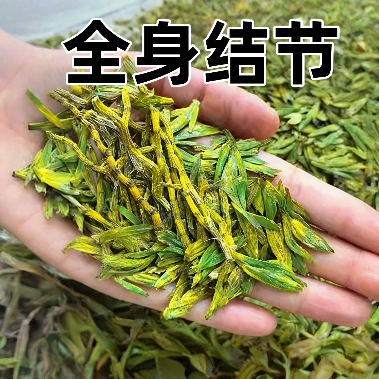 笠草结茶全身结节结节就喝它袋装官方正品男士女士通用,传统滋补营养品,养生茶,淘宝优惠券,粉丝福利购,淘宝优惠卷