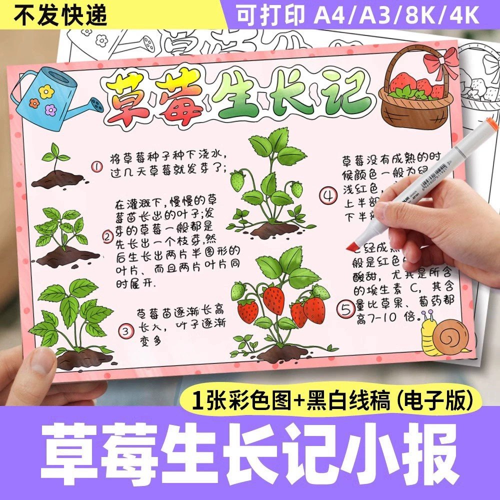 草莓生长记手抄报电子模板 小学生植物生长记录观察日记绘画线稿