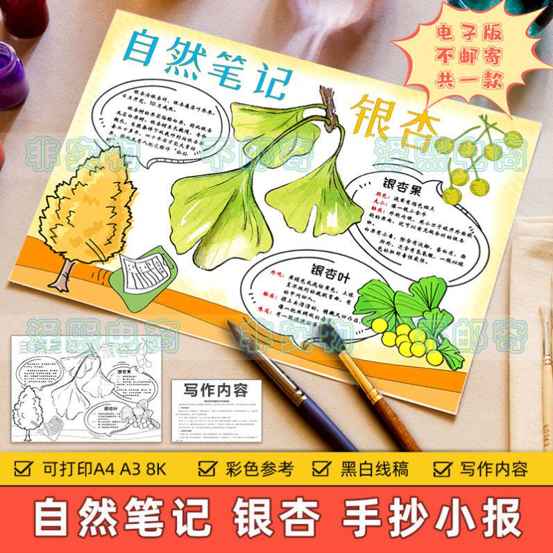 自然笔记手抄报模板小学生观察植物银杏叶子果实生长记录日记绘画