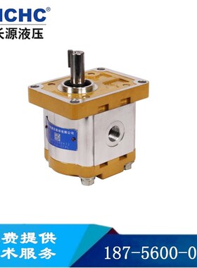 CBW-F304/F306/F310/F31B4/F316液压泵齿轮泵液压油泵合肥长源液