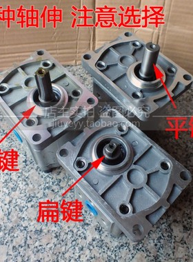 上海上重液压齿轮油泵 ClBT-F304 F306 F310 F314 F316 F320 正品