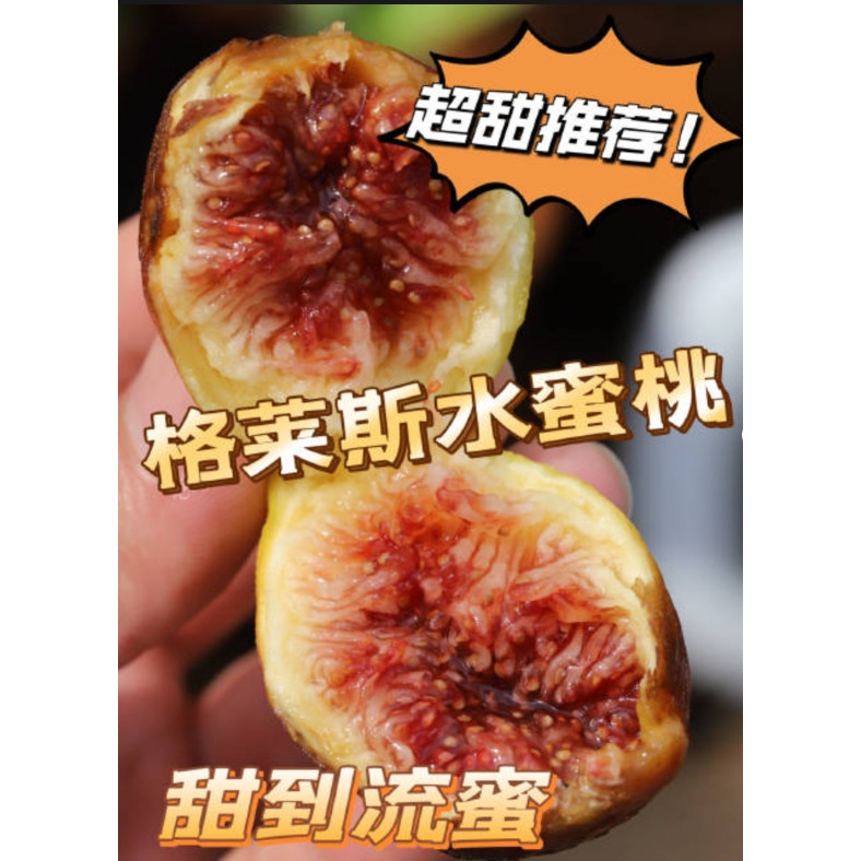 云南陆良新鲜格莱斯无花果水果爆汁甜当季现摘产地直发顺丰包邮