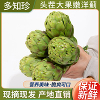 洋蓟新鲜3斤包邮法国百合Artichoke1500g 现摘现发云南曲靖朝鲜蓟