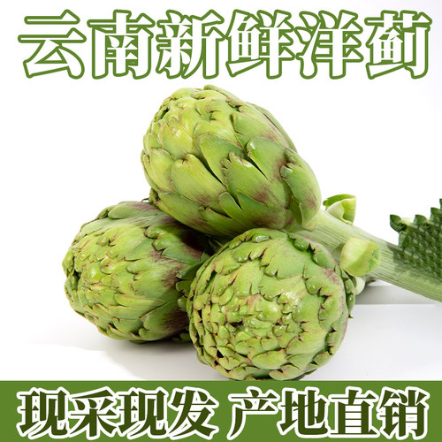 朝鲜蓟洋蓟蔬菜下单送一个1果子