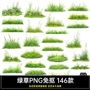 水彩风春意草坪草丛小花草植物PNG高清免抠原创可商文游美工素材