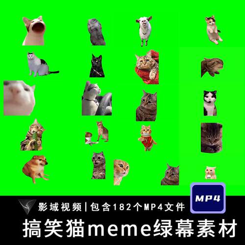 搞笑转场猫meme绿幕素材小猫MEME猫咪跳舞视频制作鬼畜自媒体剪辑