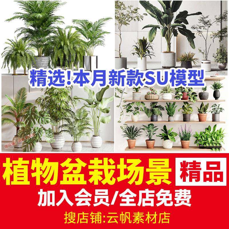 绿植植物花盆盆栽草图大师盆景松树单体室内花卉花草SU模型素材库