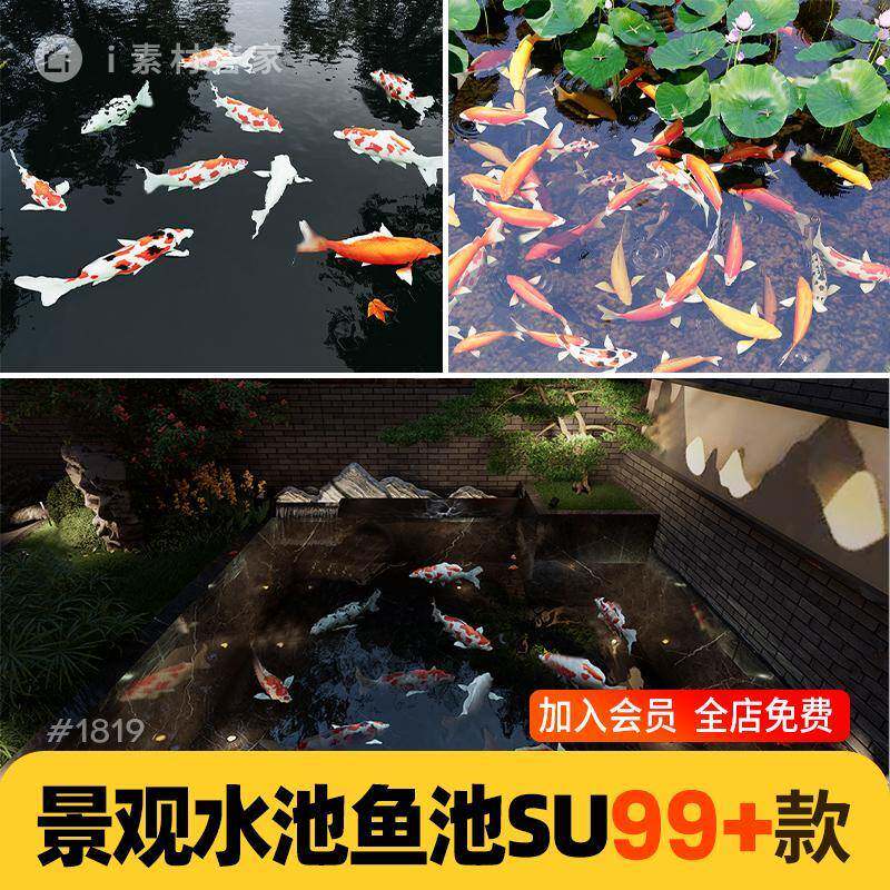 景观水池SU模型素材库园林花园鱼塘鱼池锦鲤水景skechup草图大师