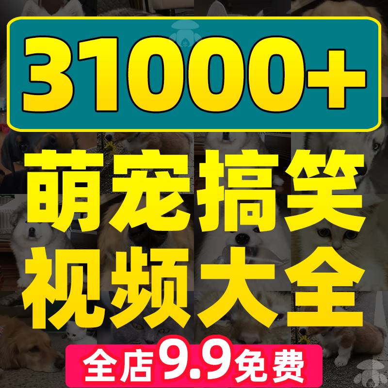 萌宠素材宠物视频猫咪动物搞笑短视频无水印高清国外可爱猫狗起号