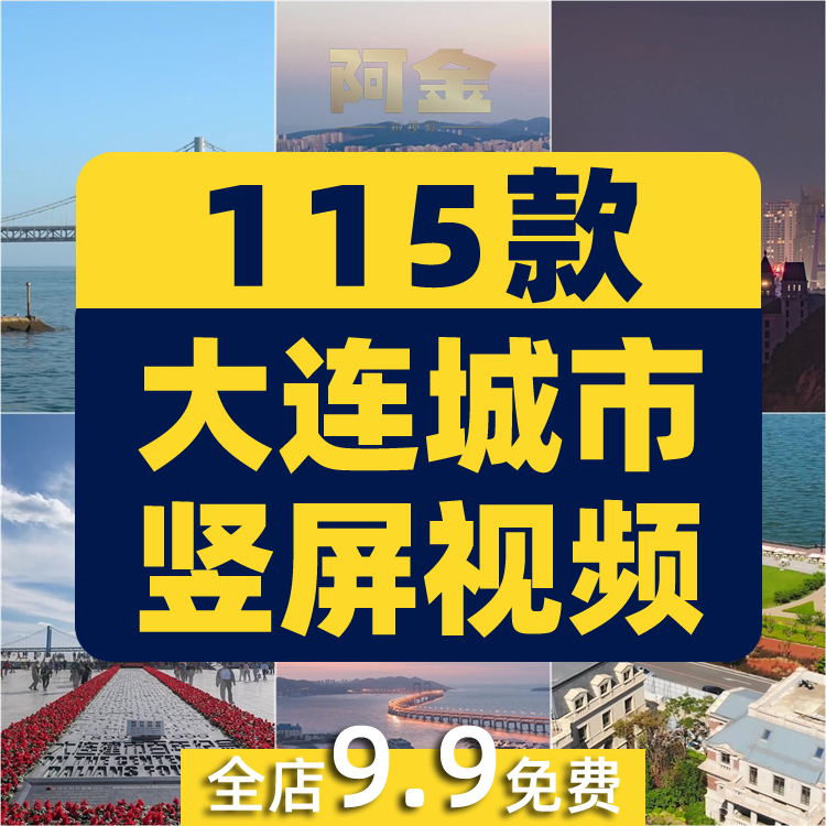 竖屏大连城市风光建筑夜景跨海大桥风景素材高清旅游景点短视频