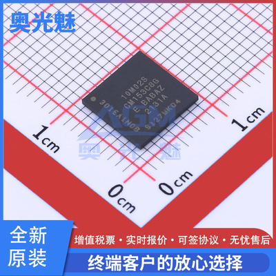 10M02SCM153C8G10M02SCM153I7G