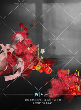 H009红色风滚草树皮水果蔬菜花艺素材设计效果图小众户外室内婚礼