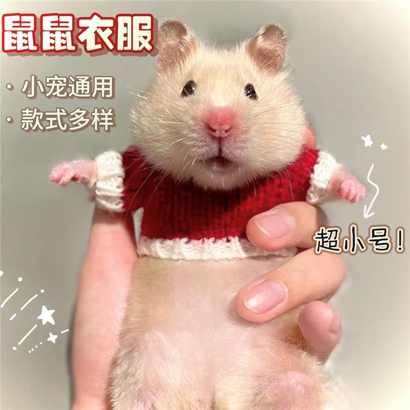 仓鼠迷你小衣服仓鼠金丝熊荷兰猪专用宠物小衣服迷你花枝鼠松鼠蜜
