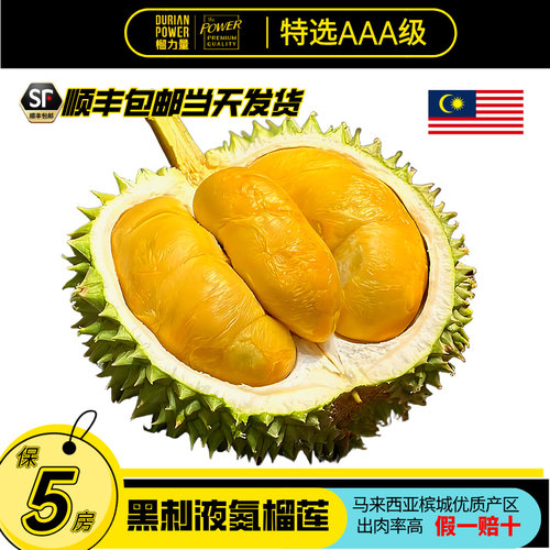 黑刺榴莲正品树熟D200液氮冻整果