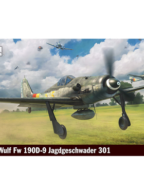 天易模型 IBG 72543 1/72 Focke-Wulf Fw 190D-9 301联队