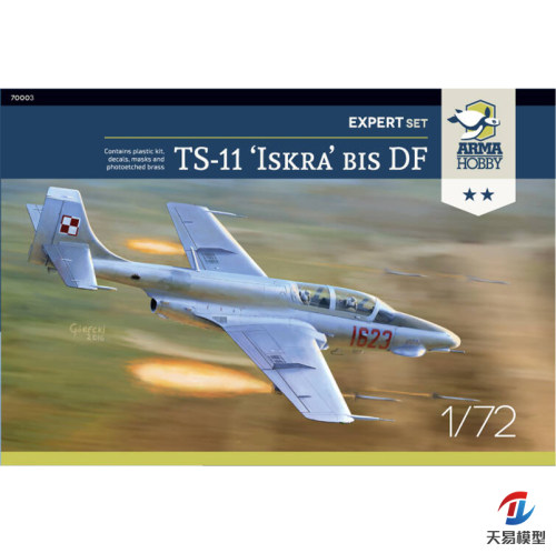 ARMAHobbyTS-11DF晋级版